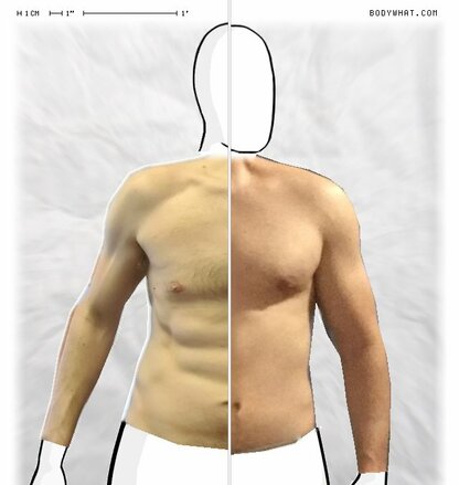 Torso Comparison
