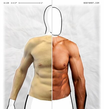 Torso Comparison