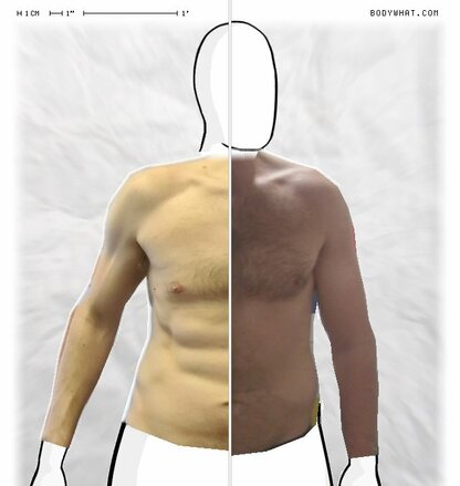 Torso Comparison