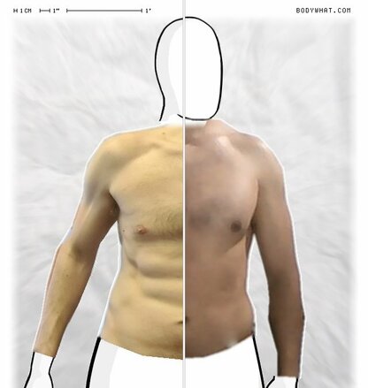 Torso Comparison