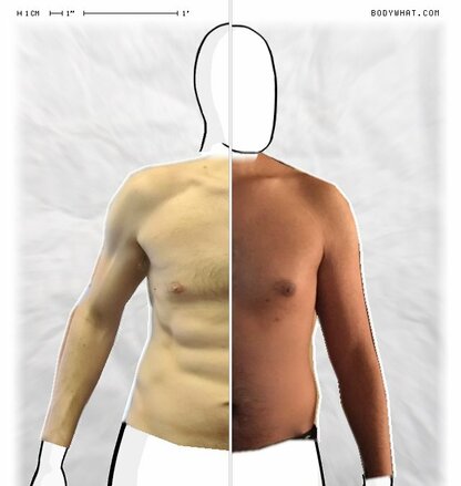 Torso Comparison