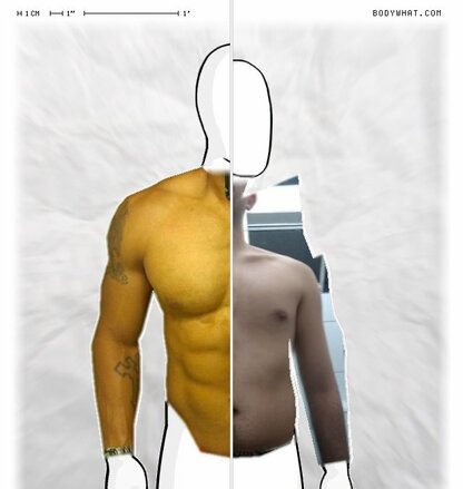 Torso Comparison