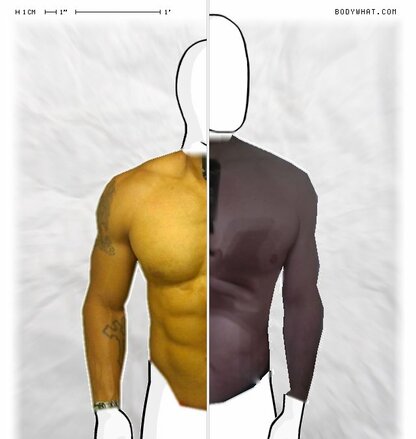 Torso Comparison