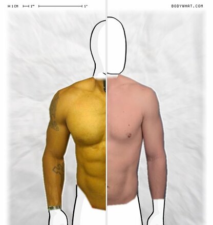 Torso Comparison