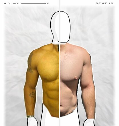 Torso Comparison