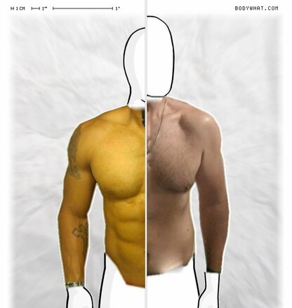 Torso Comparison