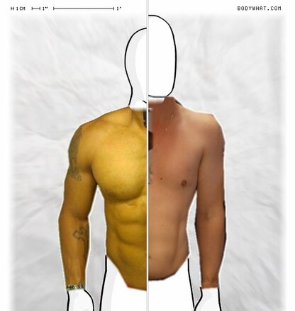 Torso Comparison