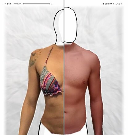 Torso Comparison