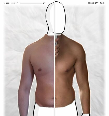 Torso Comparison