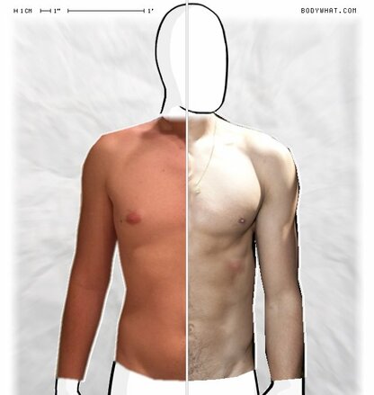 Torso Comparison