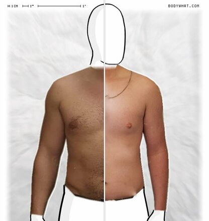 Torso Comparison