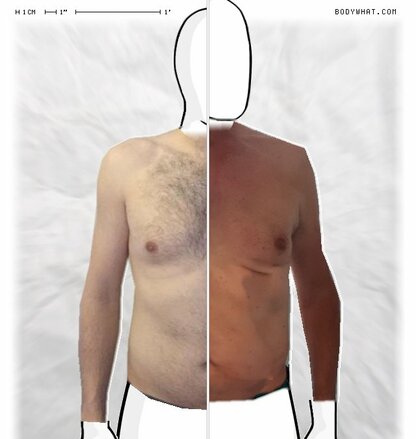 Torso Comparison