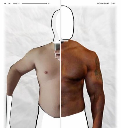 Torso Comparison
