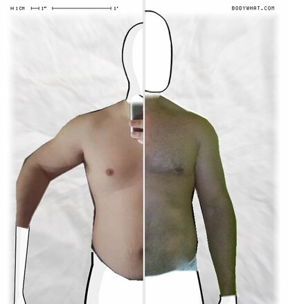 Torso Comparison