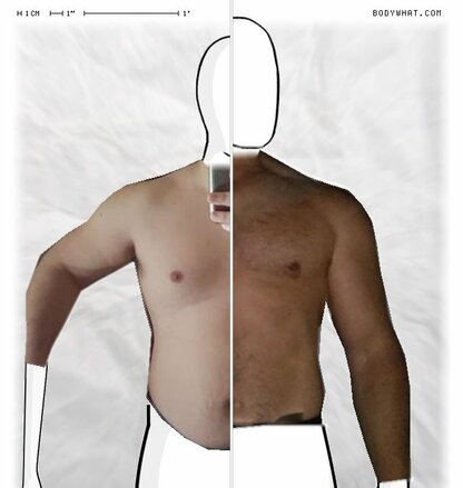 Torso Comparison