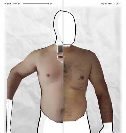 Torso Comparison