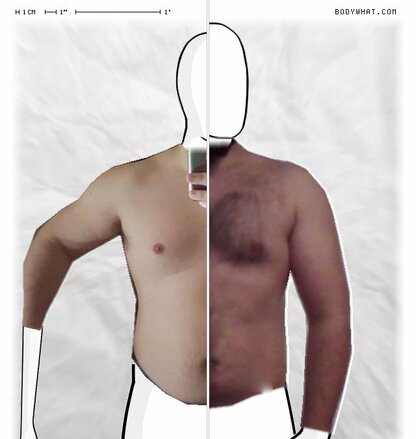 Torso Comparison