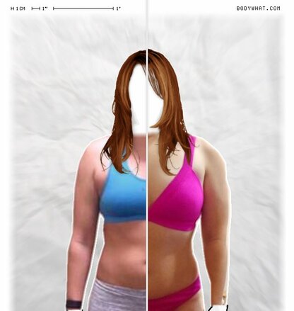 Torso Comparison