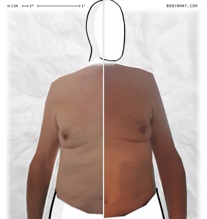 Torso Comparison
