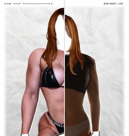 Torso Comparison
