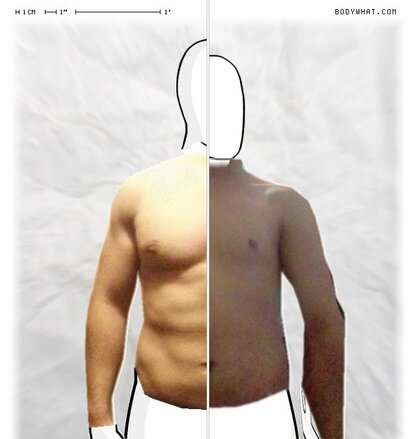 Torso Comparison