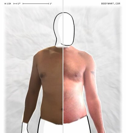 Torso Comparison