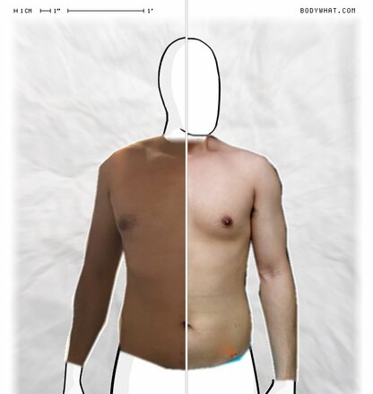 Torso Comparison