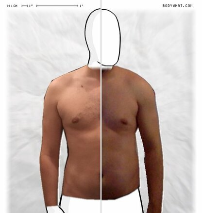 Torso Comparison