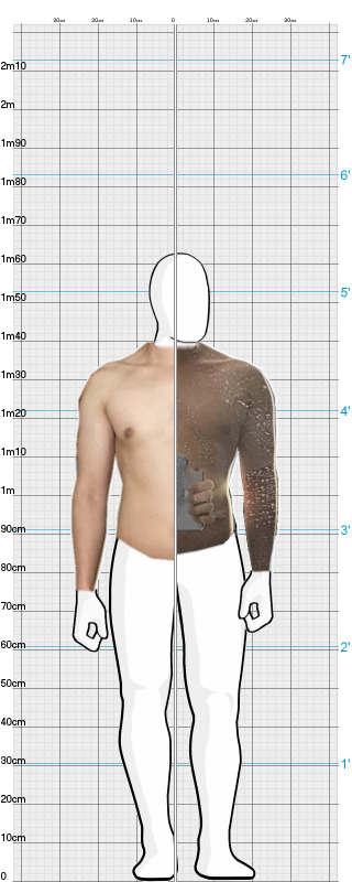 Full Size Comparison