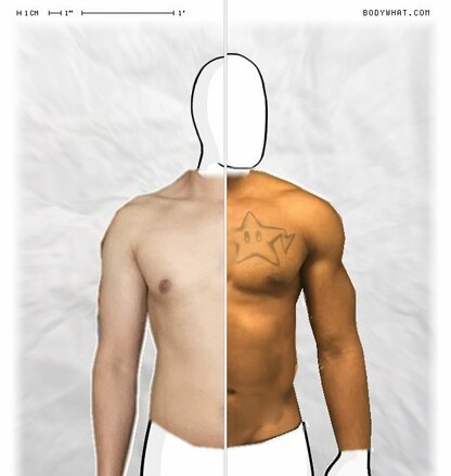 Torso Comparison