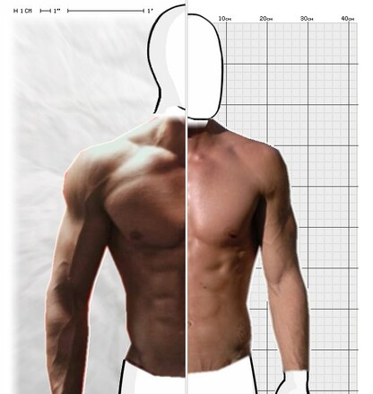 Torso Comparison