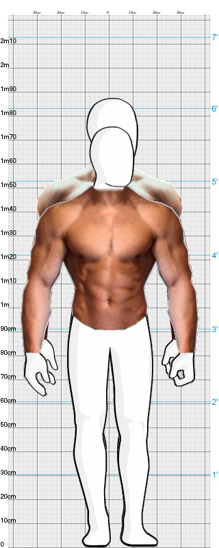 Full Size Comparison