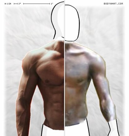 Torso Comparison