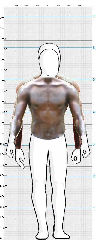 Full Size Comparison