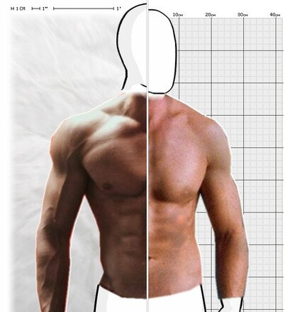 Torso Comparison