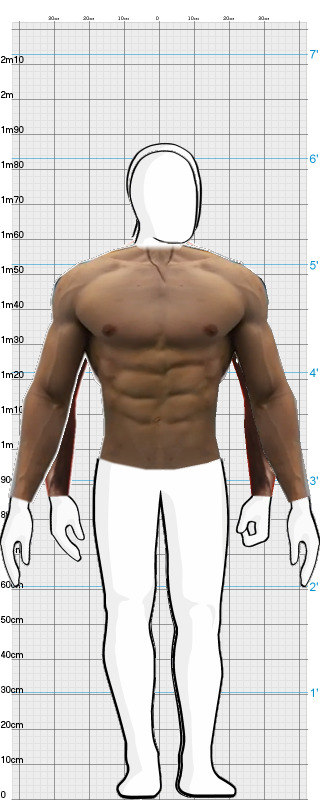 Full Size Comparison