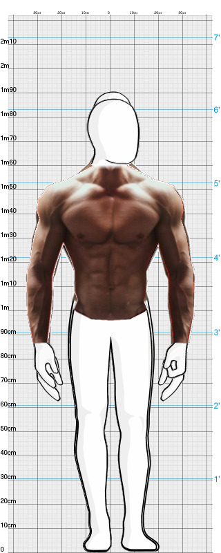 Full Size Comparison