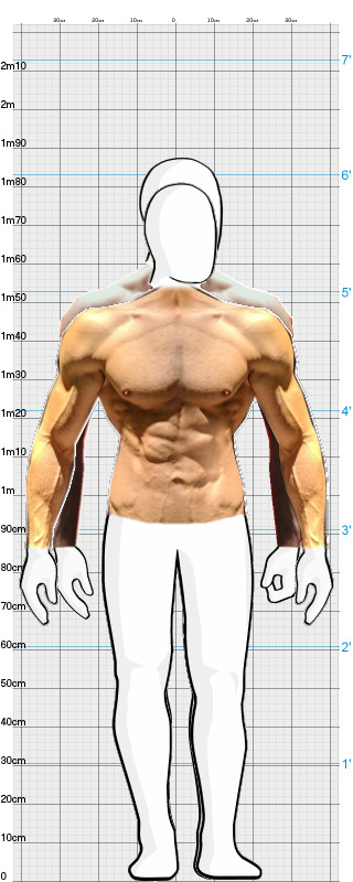 Full Size Comparison