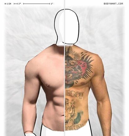 Torso Comparison