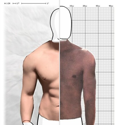 Torso Comparison