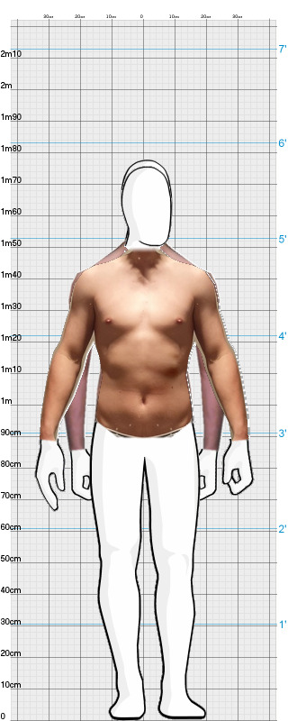 Full Size Comparison