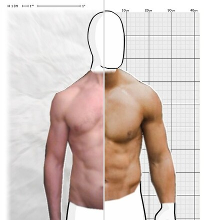 Torso Comparison