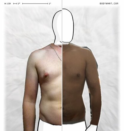 Torso Comparison