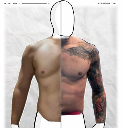 Torso Comparison