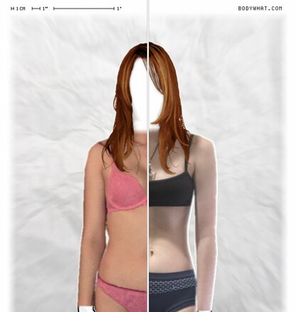 Torso Comparison