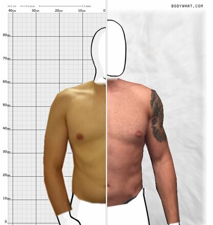 Torso Comparison