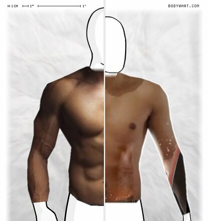 Torso Comparison