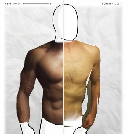 Torso Comparison