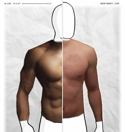 Torso Comparison