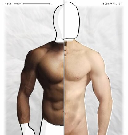 Torso Comparison